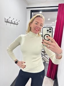 Skinny Rib Roll Neck Jumper (various colours)